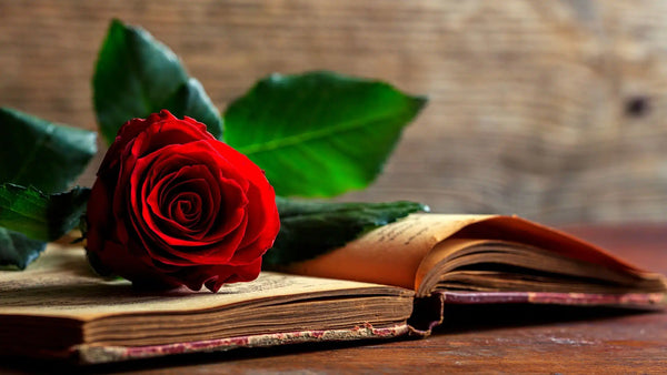 Valentine’s Day Verses For Cards – How Valentine’s Day and Covid Are Still A Romantic Match