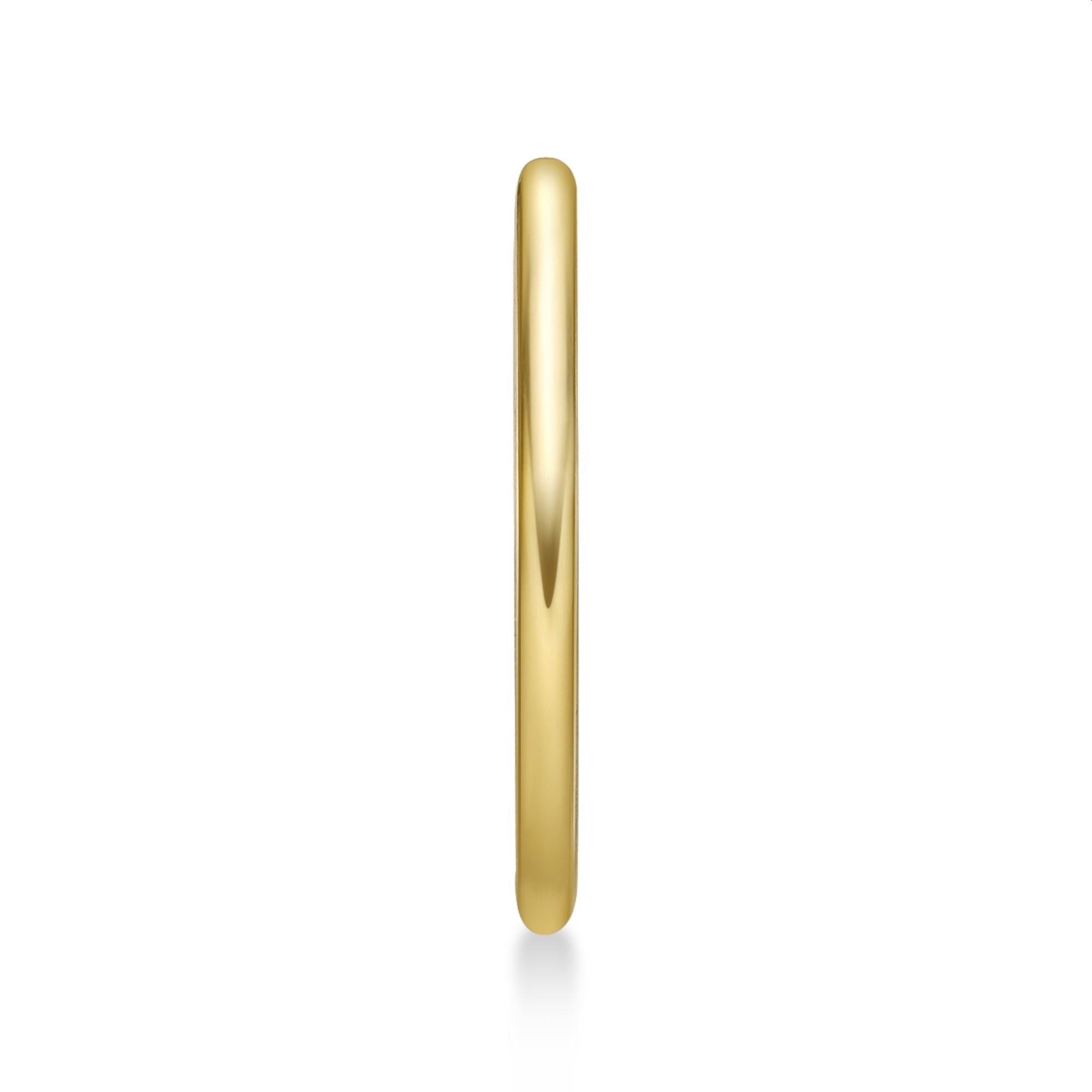 14K Nose Hoop - 20G