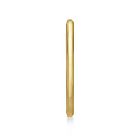 14K Nose Hoop - 20G