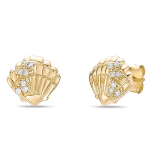 Shell Stud Earrings