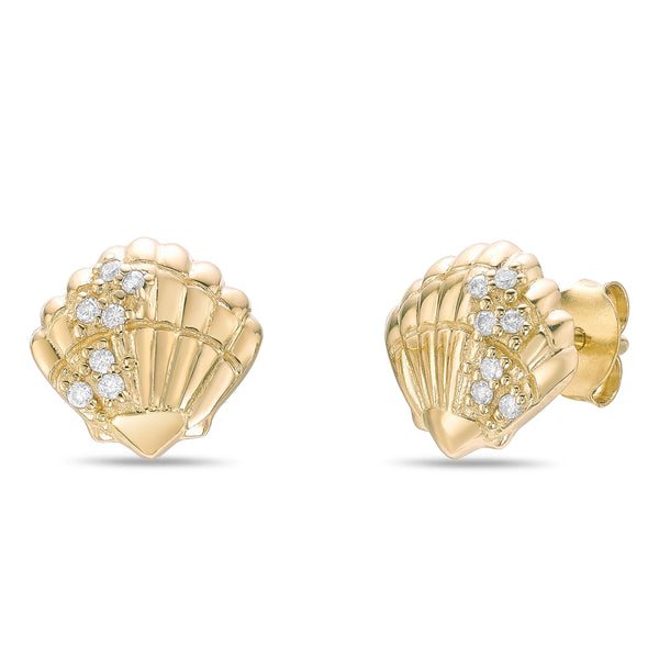 Shell Stud Earrings