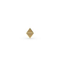 Diamond Titanium and 14K Gold Labret - 16G