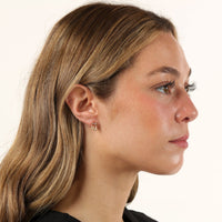 Dangle Climber Earrings