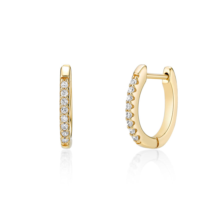 Oval Hoop Earrings