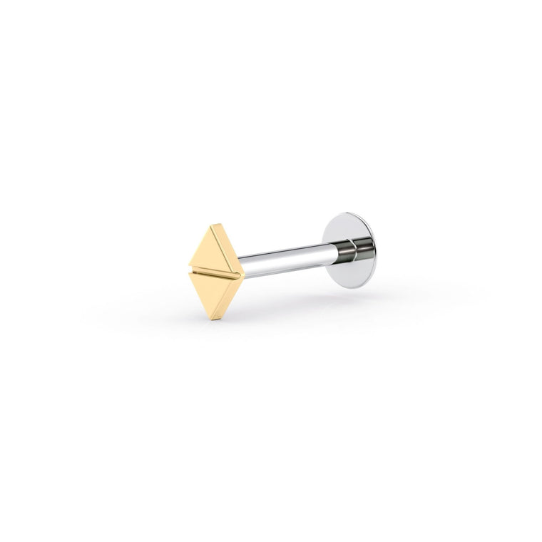 Diamond Titanium and 14K Gold Labret - 16G