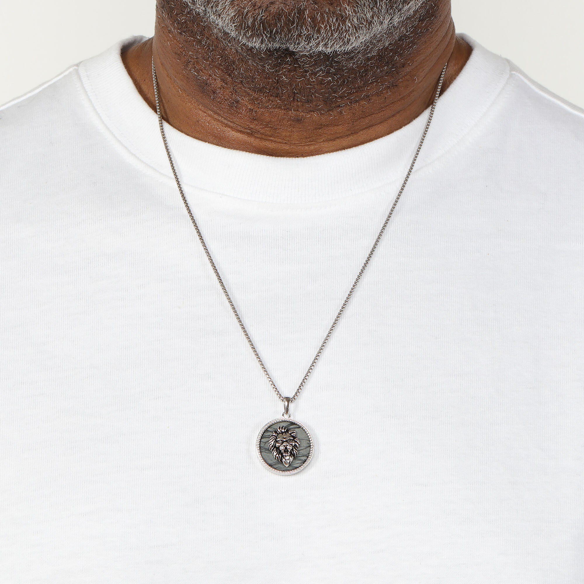 Men's Picasso Jasper Lion Medallion Pendant in Stainless Steel