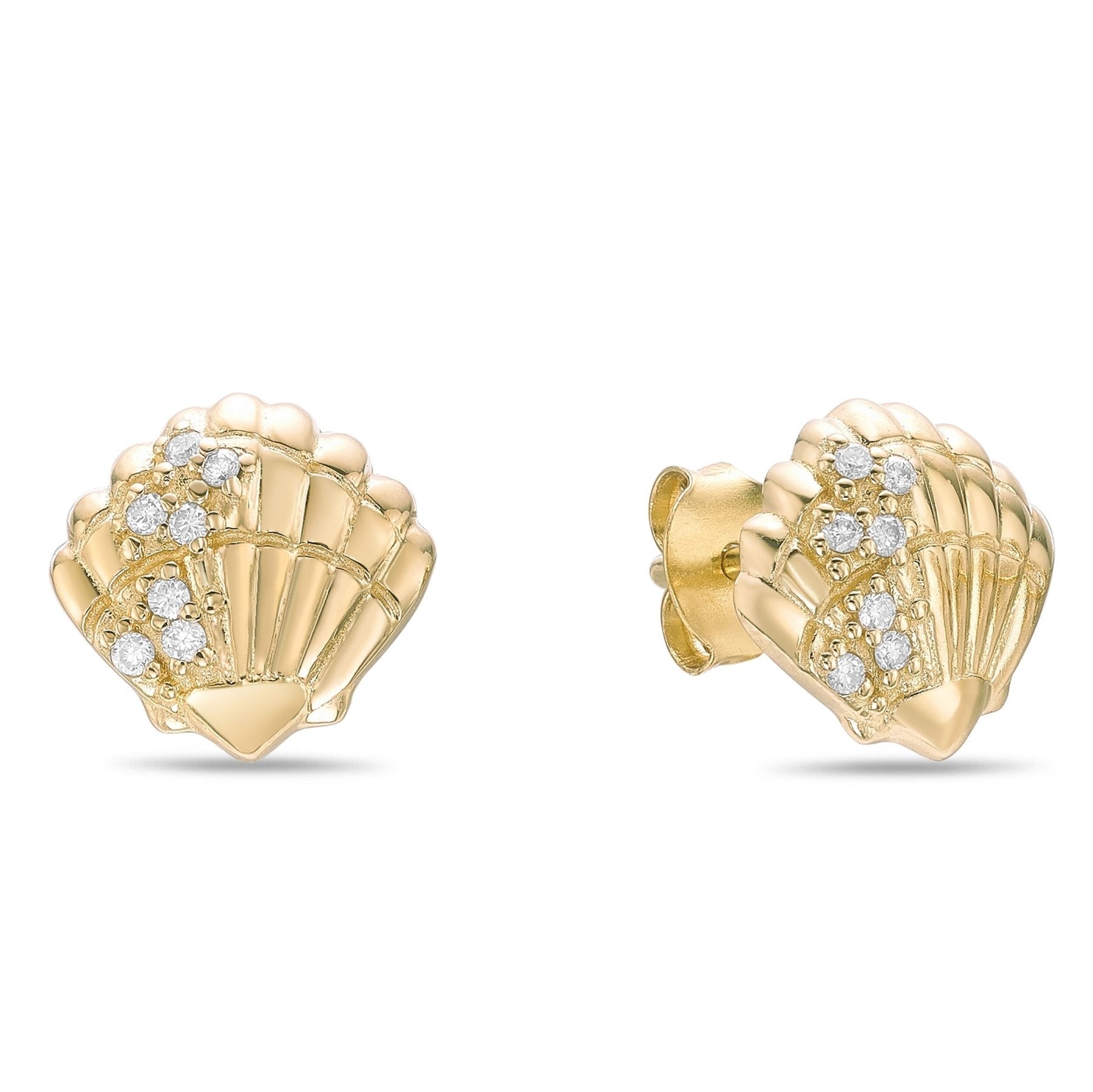 Shell Stud Earrings