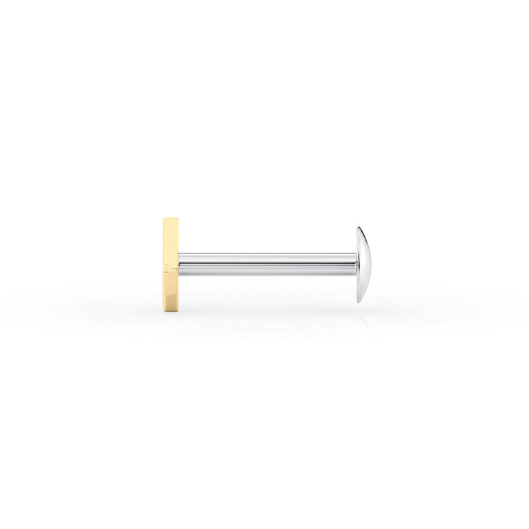 Diamond Titanium and 14K Gold Labret - 16G