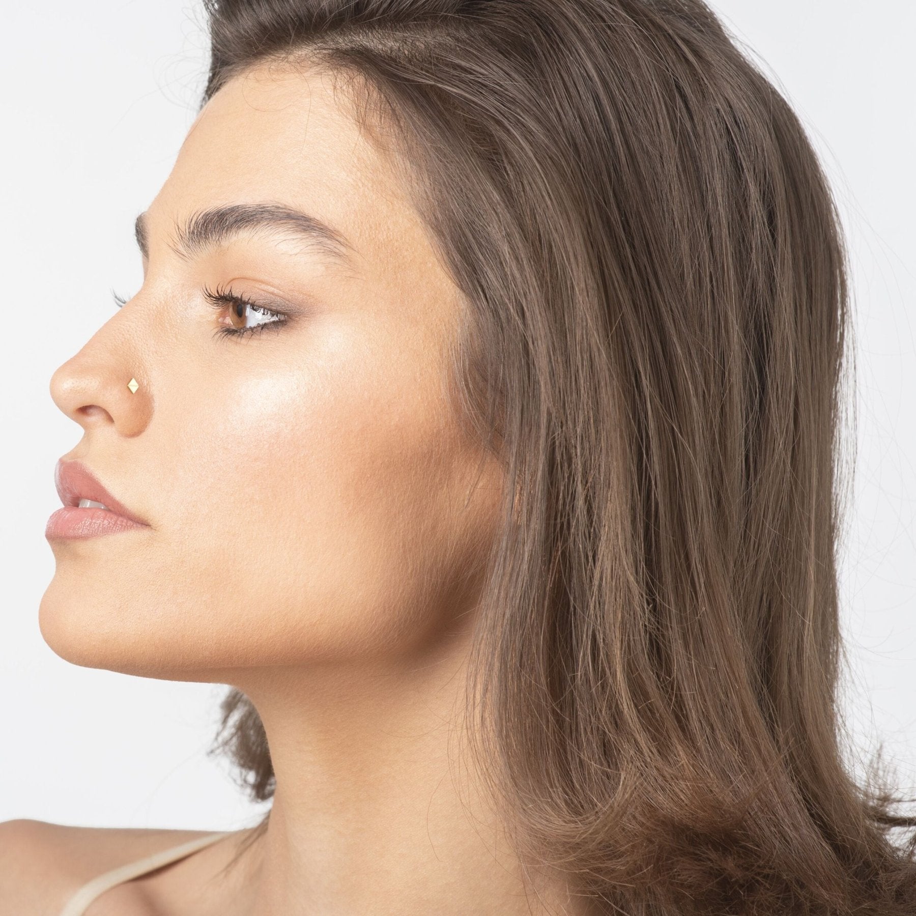 Diamond Titanium and 14K Gold Labret - 16G