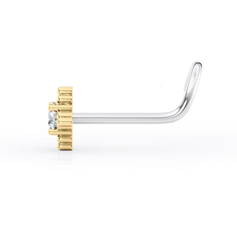 Titanim Cubic Zirconia Curved Nose Ring with 14K Gold - 20G