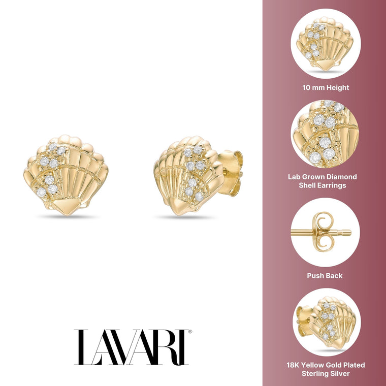 Shell Stud Earrings