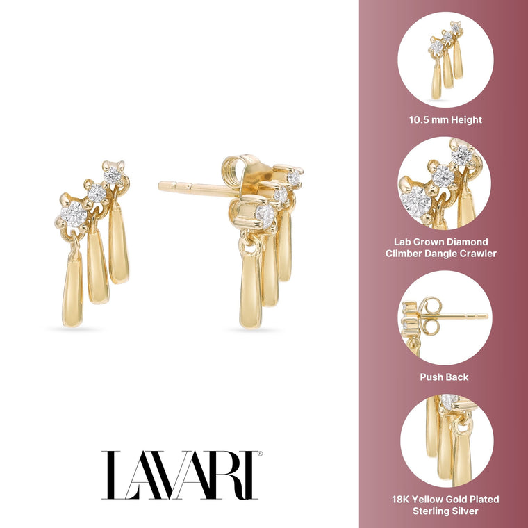 Dangle Climber Earrings