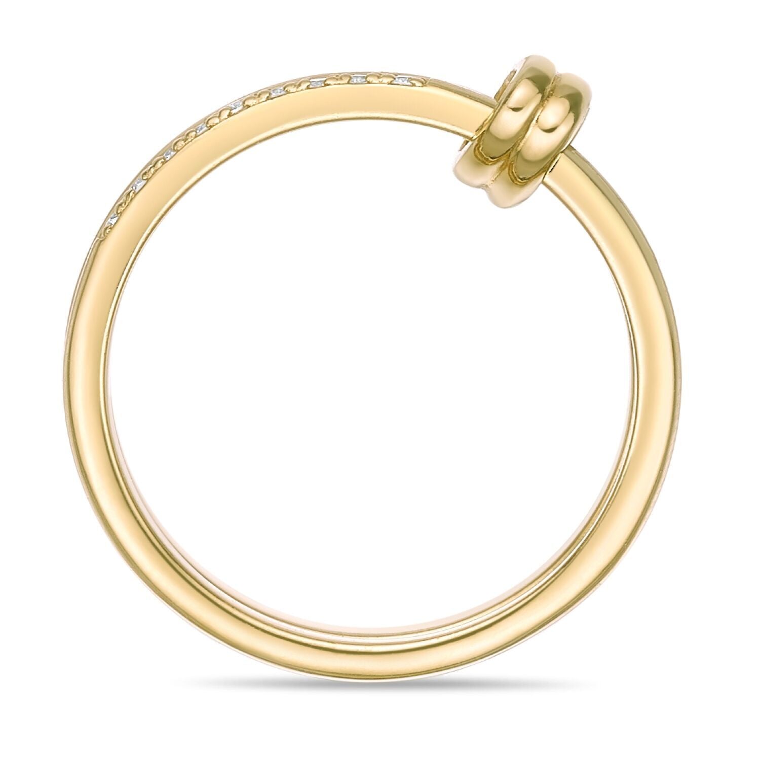 Interlocked Stackable Rings