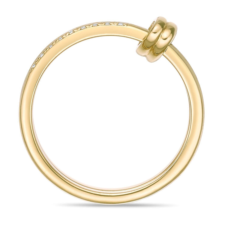 Interlocked Stackable Rings
