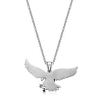 Eagle Wingspan Pendant in Stainless Steel