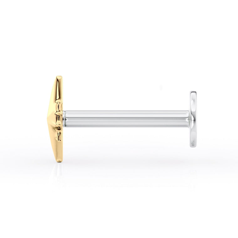 Titanium Northern Star Cartilage Piercing with 14K Gold - 18G
