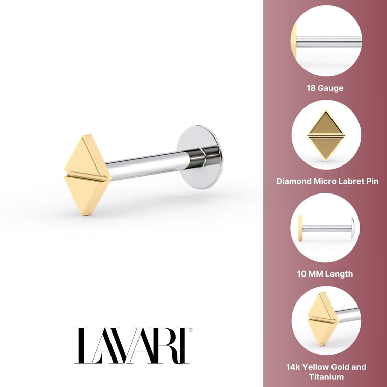 Diamond Titanium and 14K Gold Labret - 16G