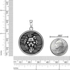 Men's Picasso Jasper Lion Medallion Pendant in Stainless Steel