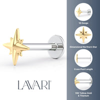 Titanium Northern Star Cartilage Piercing with 14K Gold - 18G