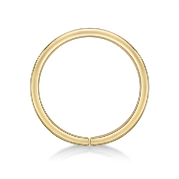 Lavari Jewelers Women's Hoop Nose Ring, 14K Yellow Gold, 8 MM Diameter, 20 Gauge